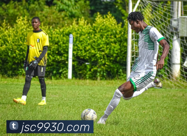 澳门金沙国际服务体系